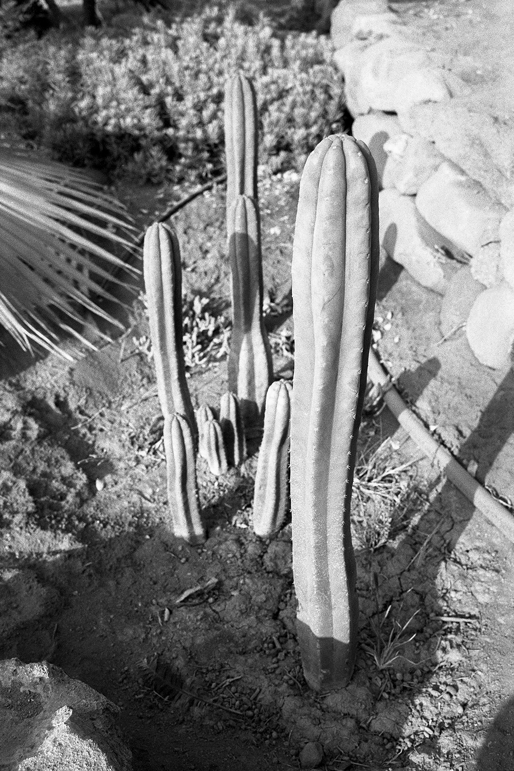 « Jihuay » is a project about an initiatic journey in South America, during this trip an encounter led me to some crucial reflections for my personal development. It was through my camera that I could document the tensions I was driven by during this experience.